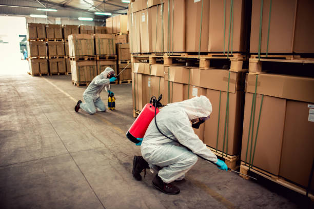 Best Best Pest Control Companies  in Orangevale, CA