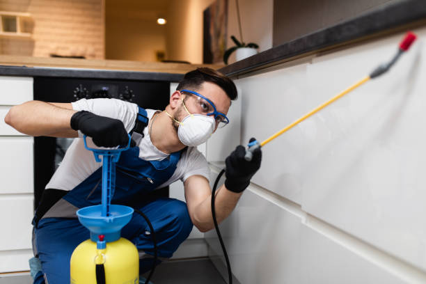Wasp Removal Services in Orangevale, CA