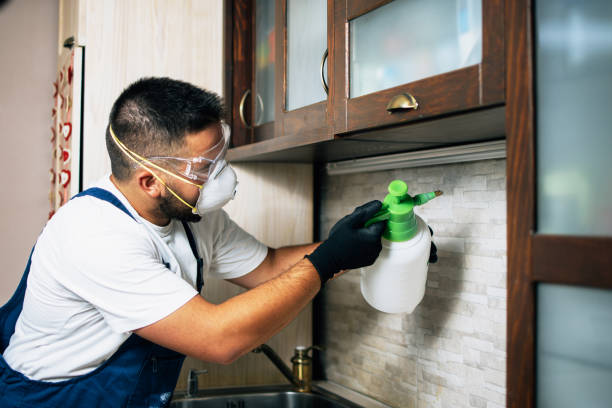 Best Commercial Pest Control Services  in Orangevale, CA