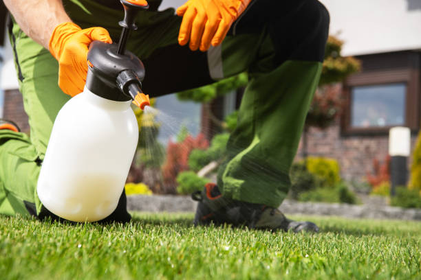 Best Wasp Removal Services  in Orangevale, CA