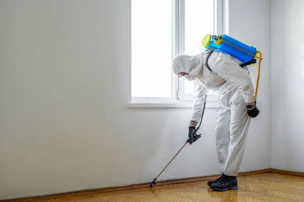 Best Affordable Pest Control Services  in Orangevale, CA