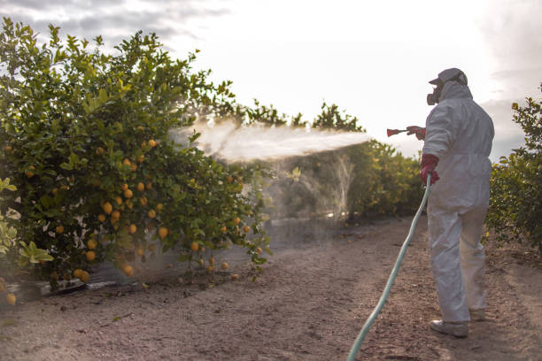 Best Mosquito Control Services  in Orangevale, CA