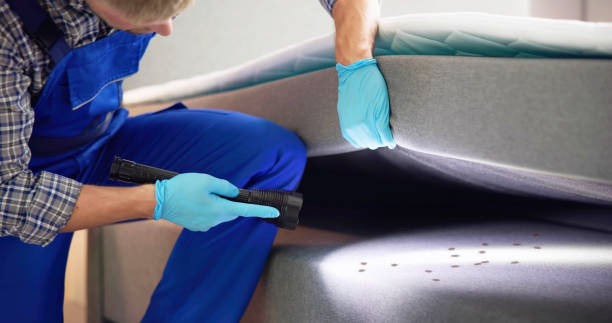 Best Exterminator Services  in Orangevale, CA