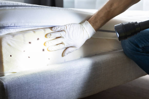 Best Pest Prevention Services  in Orangevale, CA