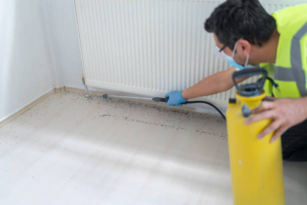 Flea Control Services in Orangevale, CA