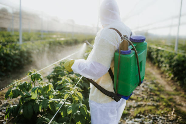 Best Pest Control Near Me  in Orangevale, CA